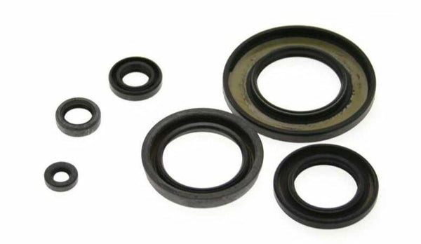 Centauro Oil Seal Set 990A971SR