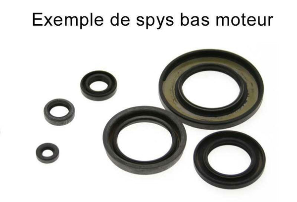 Centauro Oil Seal Set 731A130SR
