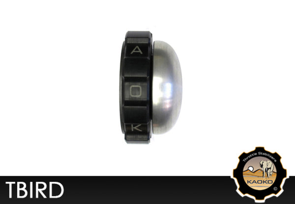Kaoko cruise control throttle stabilisator triumph thunderbird tbird