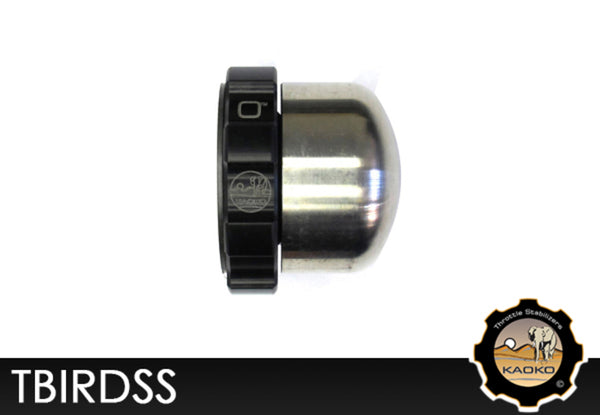 Kaoko cruise control throttle stabilisator triumph thunderbird tbirdsss