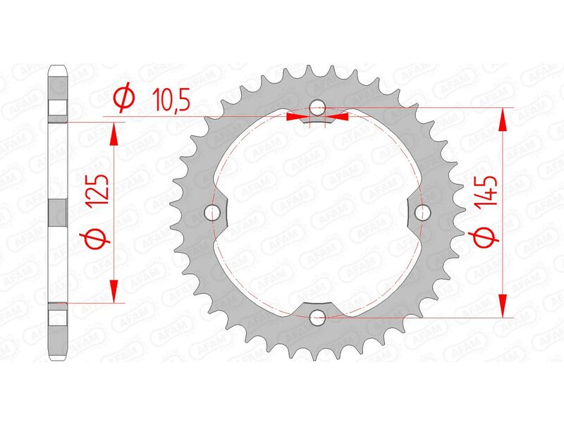 AFAM STEEL STANDARD BACK SPROKE 12407 - 520