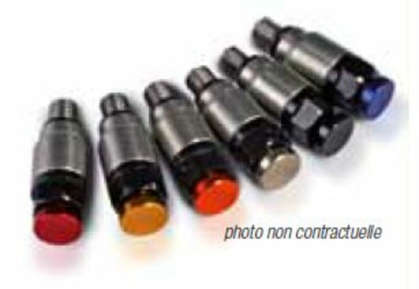 Rustfrit trykfrigørelsesventil til M4X 0,7WP Rustfrit WP Forkwp-M04O