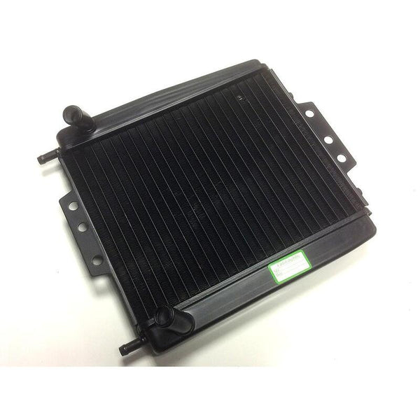 Bihr vandkøler - Piaggio Mp3 125 - 500 1118942