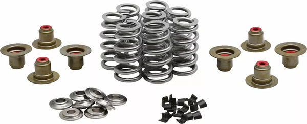 Kibblewhite Beehive Valve Spring Kit 0,640 20-24350