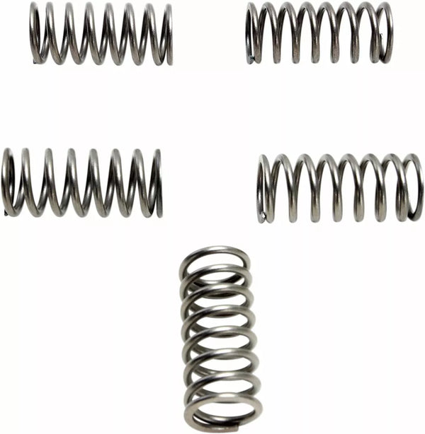 EBC Clutch Spring Set (3 stk) CSK188