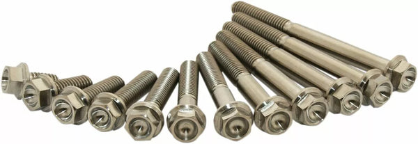 Scar Titanium Bolt M6X45 Pack of 2 Stim6x4502