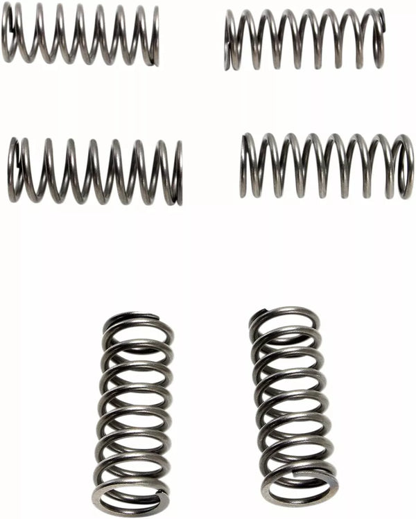 EBC Clutch Spring Set (6 PCS) CSK198