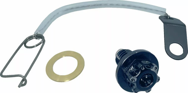 PSR Drain Plug 8x1.5x17 BLK 00-01943-22