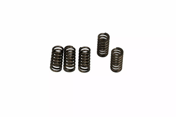 EBC CLUTCH SPRING SET (6 PCS) CSK245