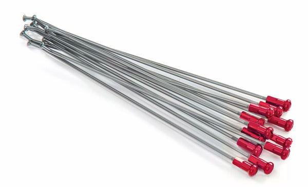 Kite eger 21fr SI /RE NIP 12pc 20.901.0.ro