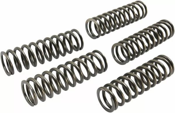 EBC Clutch Spring Set (5 stk) CSK239