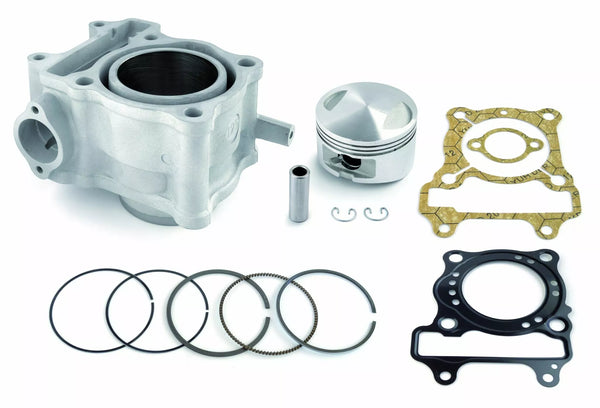 Airsal Cyl Kit SHE SH 125 020462524
