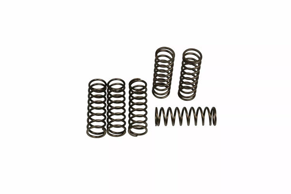 EBC Clutch Spring Set (6 PCS) CSK240